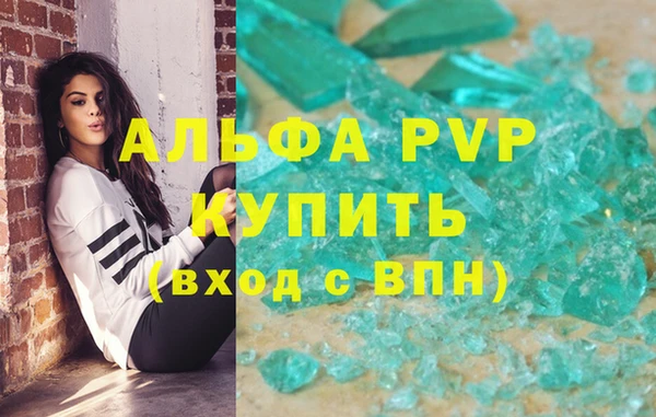индика Беломорск