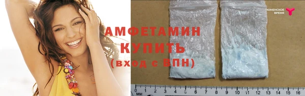 индика Беломорск