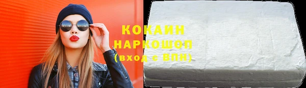 индика Беломорск