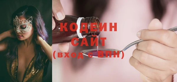 индика Беломорск