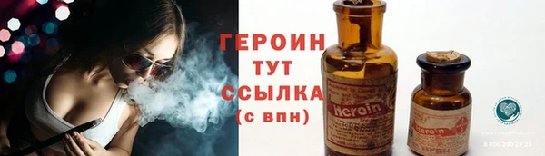 индика Беломорск