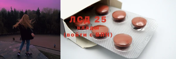 индика Беломорск
