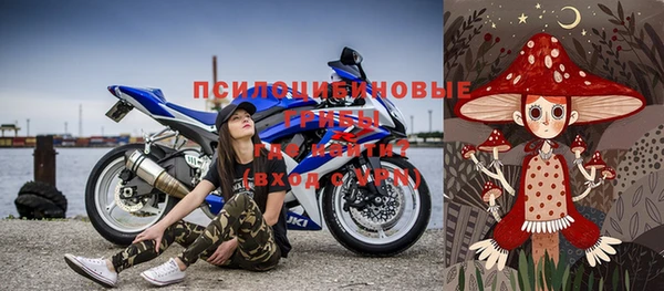 индика Беломорск