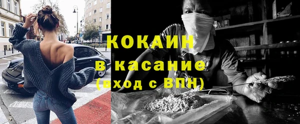 индика Беломорск