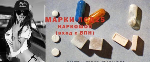 индика Беломорск