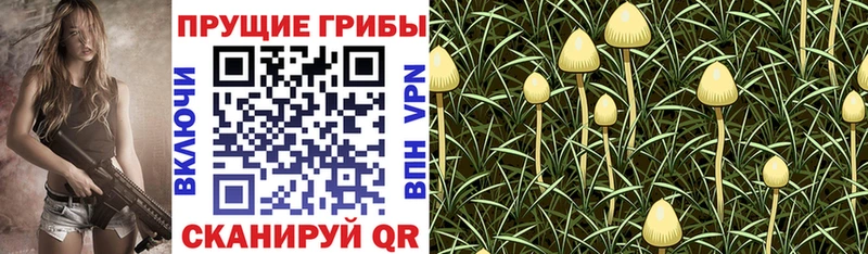 Галлюциногенные грибы ЛСД  закладка  Красноуральск 